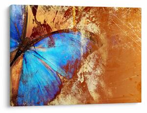 Obraz - Niebieski motyl (70x50 cm)