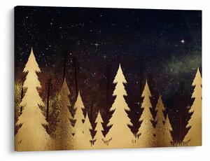 Obraz - Złota noc (70x50 cm)