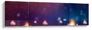 Obraz - Magiczne lilie wodne (170x50 cm)
