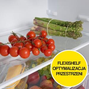 Lodówka AMICA FK2515.4UT(E) 170cm Biała