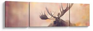 Obraz - Las w jesiennych liściach (170x50 cm)