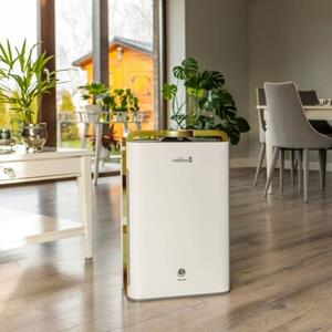 Oczyszczacz powietrza WEBBER AP 9700 WIFI Złoty