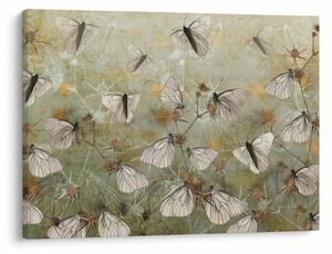 Obraz - Vintage motyle (70x50 cm)
