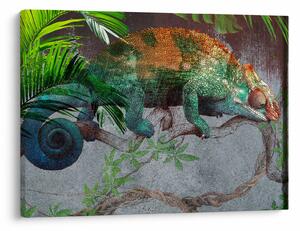 Obraz - Kameleon (70x50 cm)