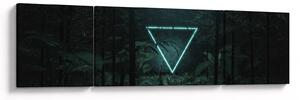 Obraz - Neonowy trójkąt w dżungli (170x50 cm)