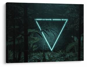 Obraz - Neonowy trójkąt w dżungli (70x50 cm)