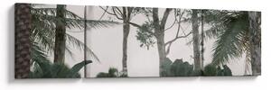 Obraz - dżungla w porannej mgle (170x50 cm)