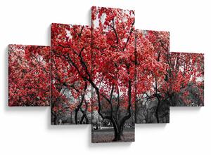 Obraz - Czerwone drzewa, Central Park, New York (125x70 cm)