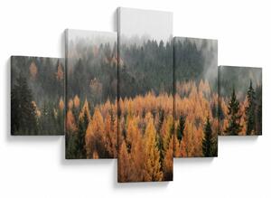 Obraz - Jesienny las (125x70 cm)