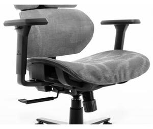 Fotel HELL'S CHAIR HC 1010 Szary