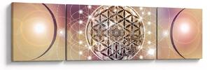 Obraz - Mandala z elementami (170x50 cm)