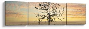 Obraz - Drzewo na pustyni (170x50 cm)
