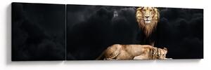 Obraz - Lew i lwica w chmurach (170x50 cm)
