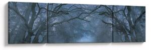 Obraz lasu we mgle (170x50 cm)