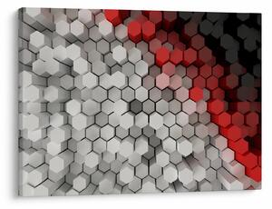 Obraz - sześciokąty 3D (70x50 cm)
