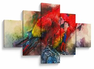 Obraz czerwonych papug Ara (125x70 cm)