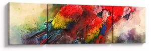 Obraz czerwonych papug Ara (170x50 cm)