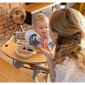 Talerz BABYONO 1661/03 Beżowy