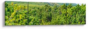 Obraz - Babia Góra, Polska (170x50 cm)
