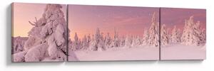 Obraz - Drzewa pod warstwą śniegu (170x50 cm)