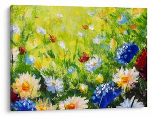Obraz kwitnącej łąki, obraz olejny (70x50 cm)