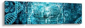 Obraz - Genetyka (170x50 cm)