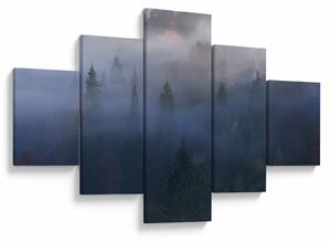 Obraz - Las we mgle, Karpaty, Ukraina (125x70 cm)