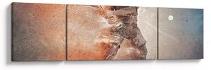 Obraz - Tenisista (170x50 cm)