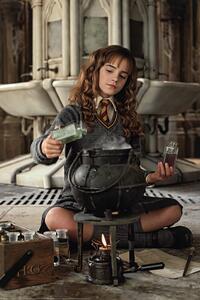 Plakat, Obraz Harry Potter - Hermione Granger