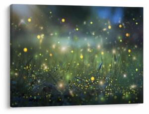 Obraz - Magiczna noc (70x50 cm)