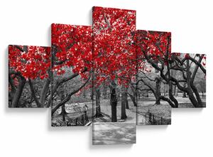 Obraz - Czerwone drzewa, Central Park, New York (125x70 cm)