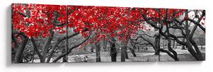 Obraz - Czerwone drzewa, Central Park, New York (170x50 cm)