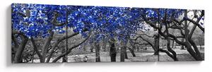 Obraz - Niebieskie drzewa, Central Park, New York (170x50 cm)