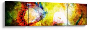 Obraz - Kosmiczny motyl (170x50 cm)