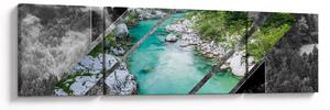 Obraz - Dzika przyroda (170x50 cm)