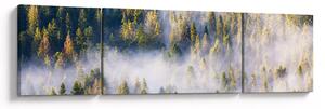 Obraz drzew we mgle (170x50 cm)