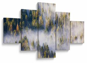 Obraz drzew we mgle (125x70 cm)