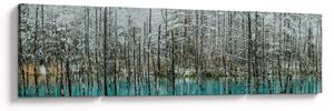 Obraz - Turkusowy staw, Biei, Japonia (170x50 cm)