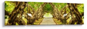 Obraz - Żywy tunel plumerii (170x50 cm)