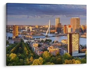 Obraz - Panorama Rotterdamu, Holandia (70x50 cm)