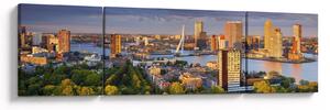 Obraz - Panorama Rotterdamu, Holandia (170x50 cm)