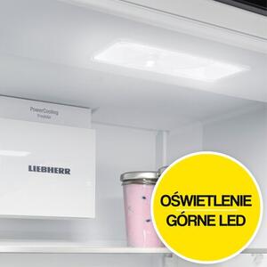 Lodówka LIEBHERR IKGNS 51VD03