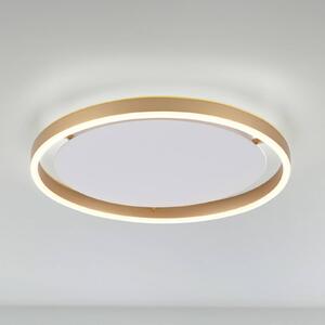 JUST LIGHT. Lampa sufitowa LED Ritus, Ø 39,3 cm, matowy mosiądz