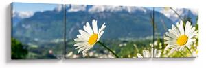 Obraz - Wiosna w Alpach (170x50 cm)