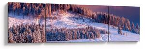 Obraz zimowego krajobrazu (170x50 cm)