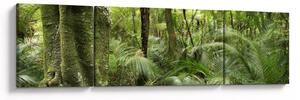 Obraz tropikalnego lasu deszczowego (170x50 cm)