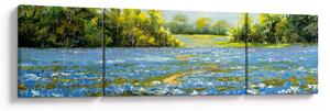 Obraz - Ścieżka w polu, obraz olejny (170x50 cm)