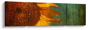 Obraz - Słonecznik (170x50 cm)