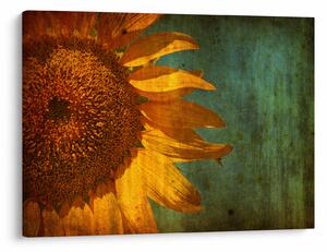 Obraz - Słonecznik (70x50 cm)