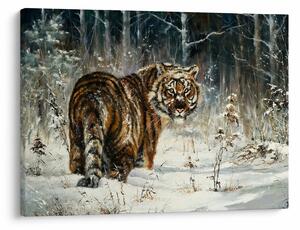 Obraz - Tygrys w zaśnieżonym lesie, obraz olejny (70x50 cm)